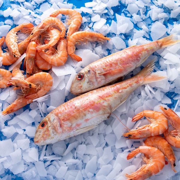 Sélection de Poisson du Jour