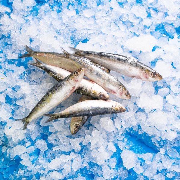 Sardines entières