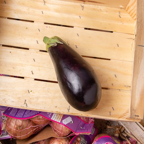 Aubergine