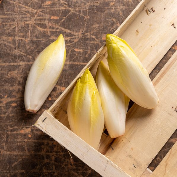 Endives Bio