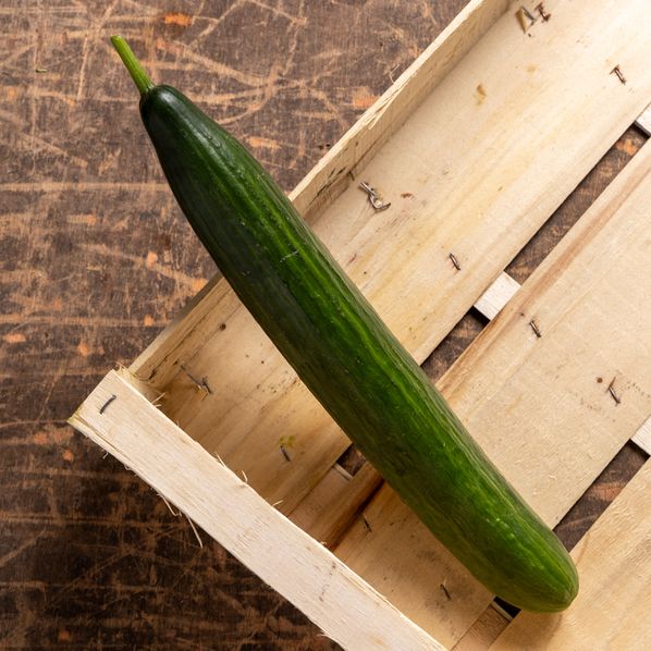 Concombre Bio
