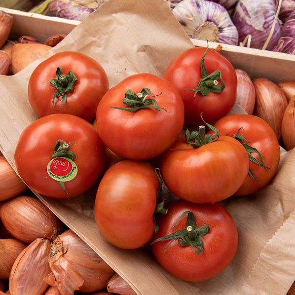 Tomates Gusto