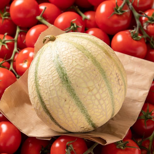 Melon Charentais