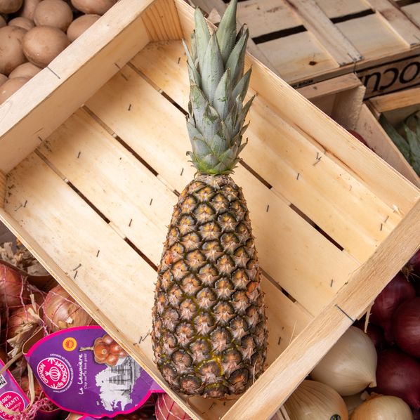 Ananas Pain de Sucre
