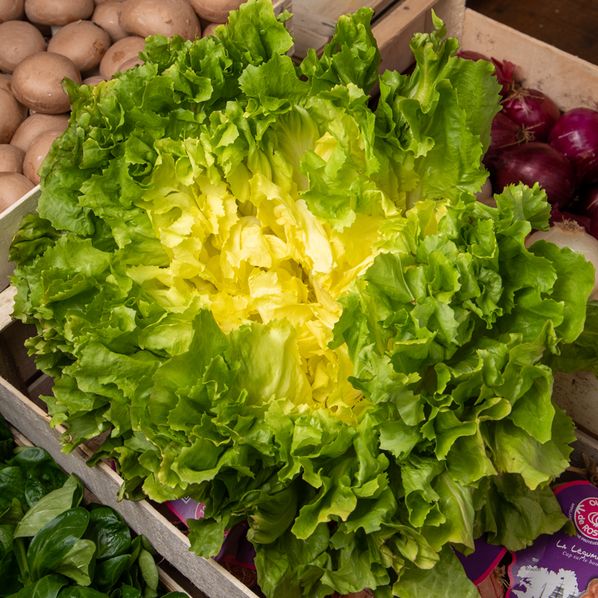Salade Scarole