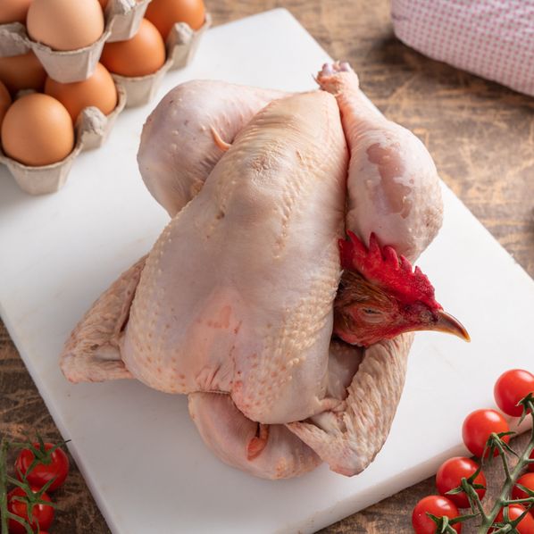 Poulet Jaune Cou Nu de Dordogne
