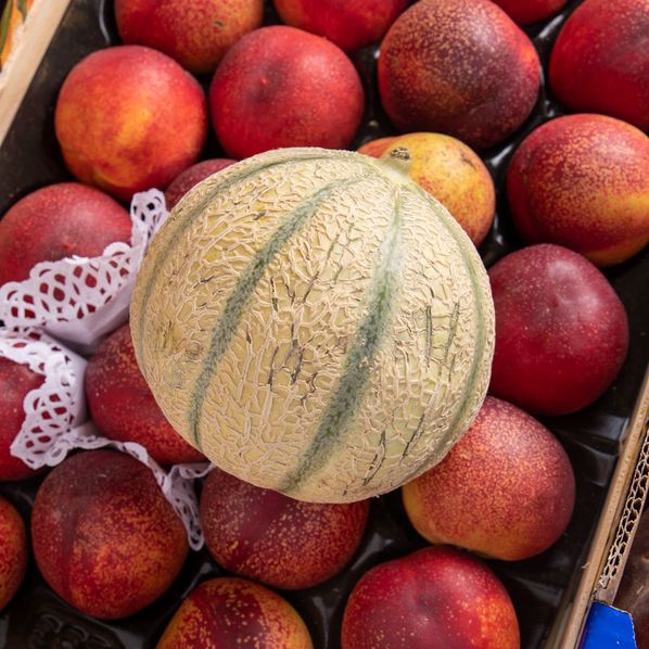 Melon charentais