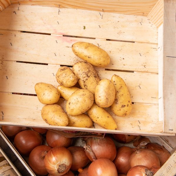 Pomme de terre Annabelle