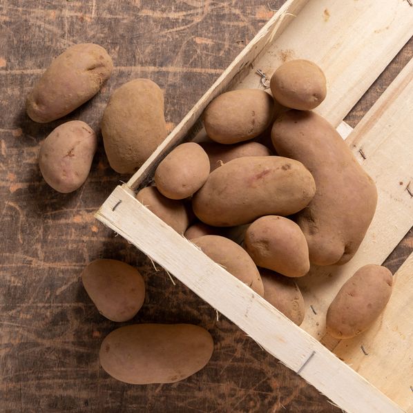 Pommes de terre Rubis Bio