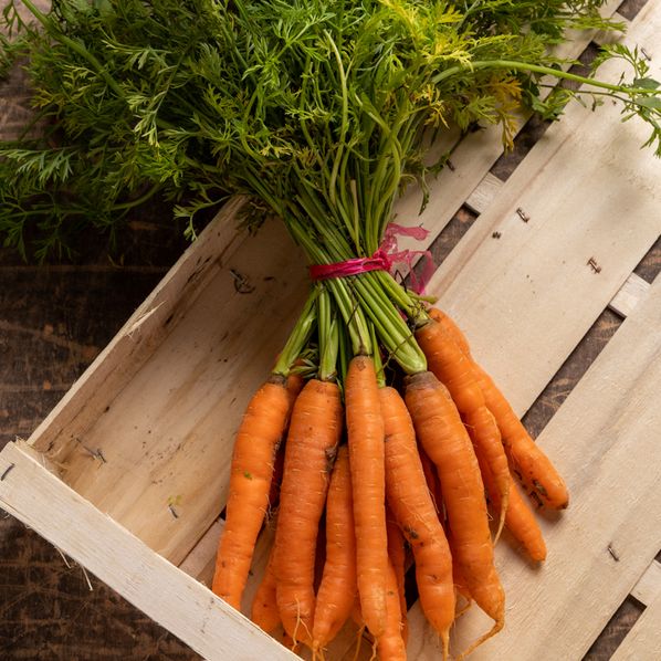 Carottes botte Bio