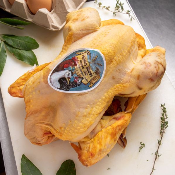 Poulet fermier jaune de 100 jours