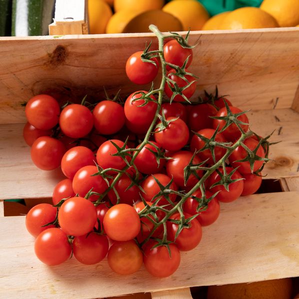 Tomates cerises de Bretagne