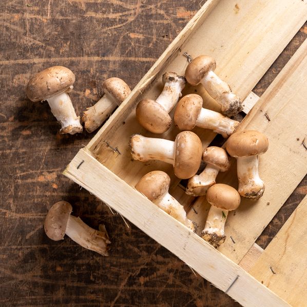 Champignons de Paris Bio