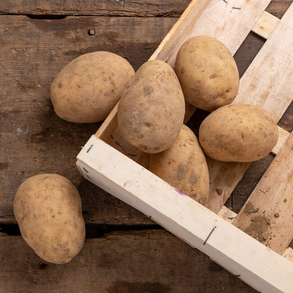 Pommes de terre Liberta