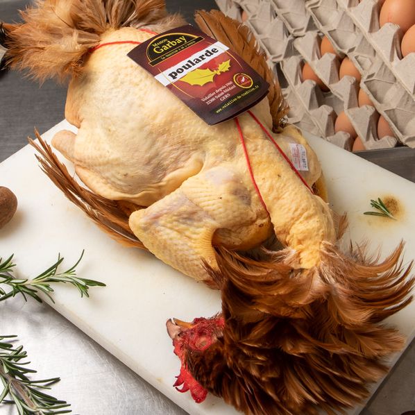 Poularde