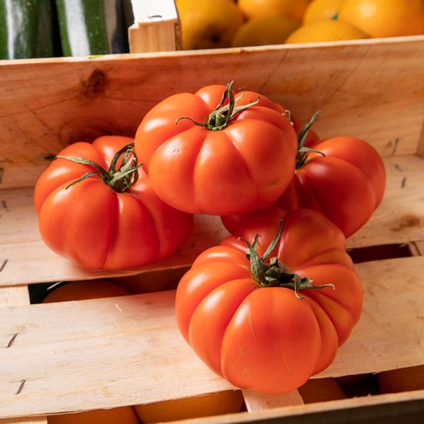 Tomates côtelées