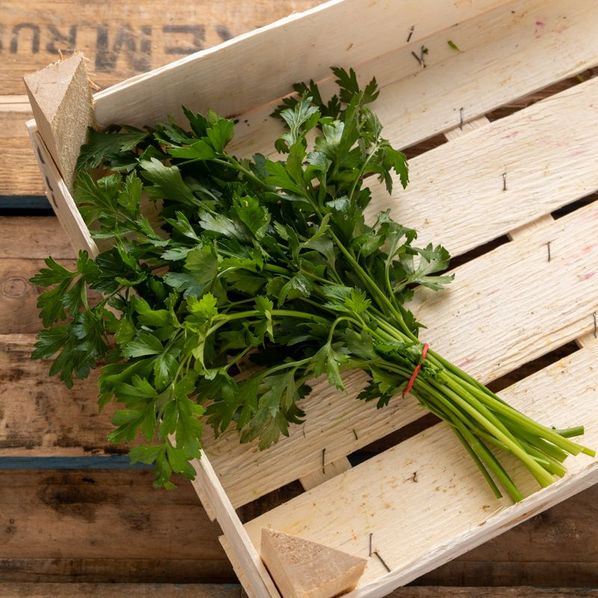 Persil plat