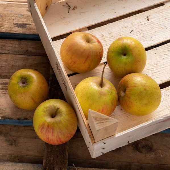 Pommes Rubinette