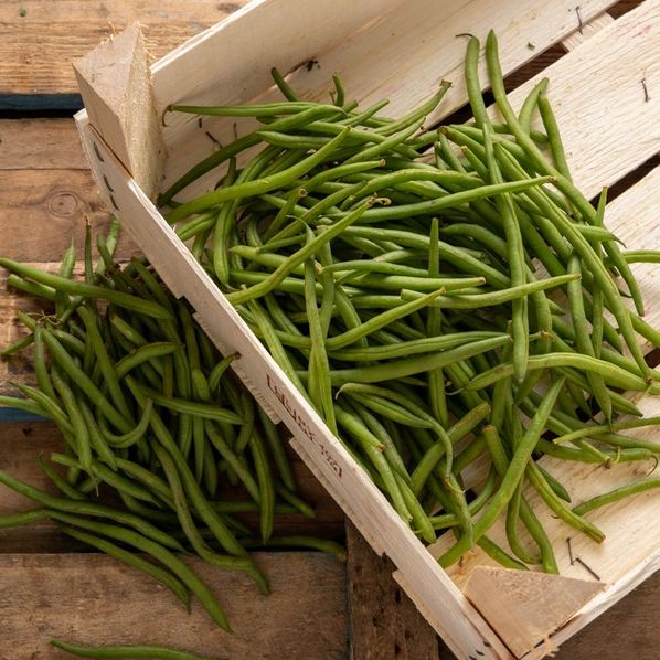 Haricots verts