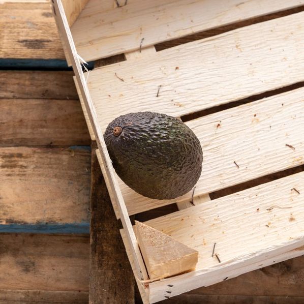 Avocat Trops