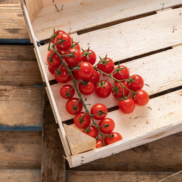 Tomates cerises Rabelais